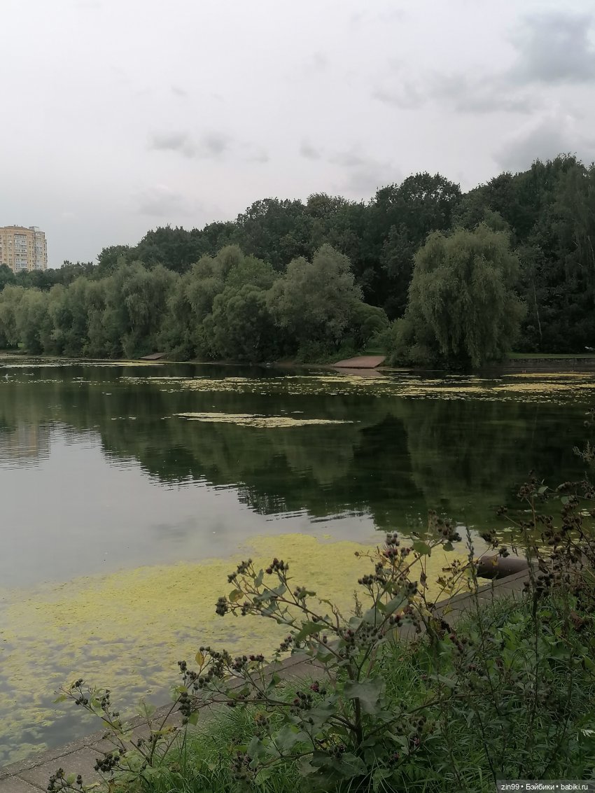 Прогулка по парку — Игровые куклы разных производителей (Разное): редкие бренды