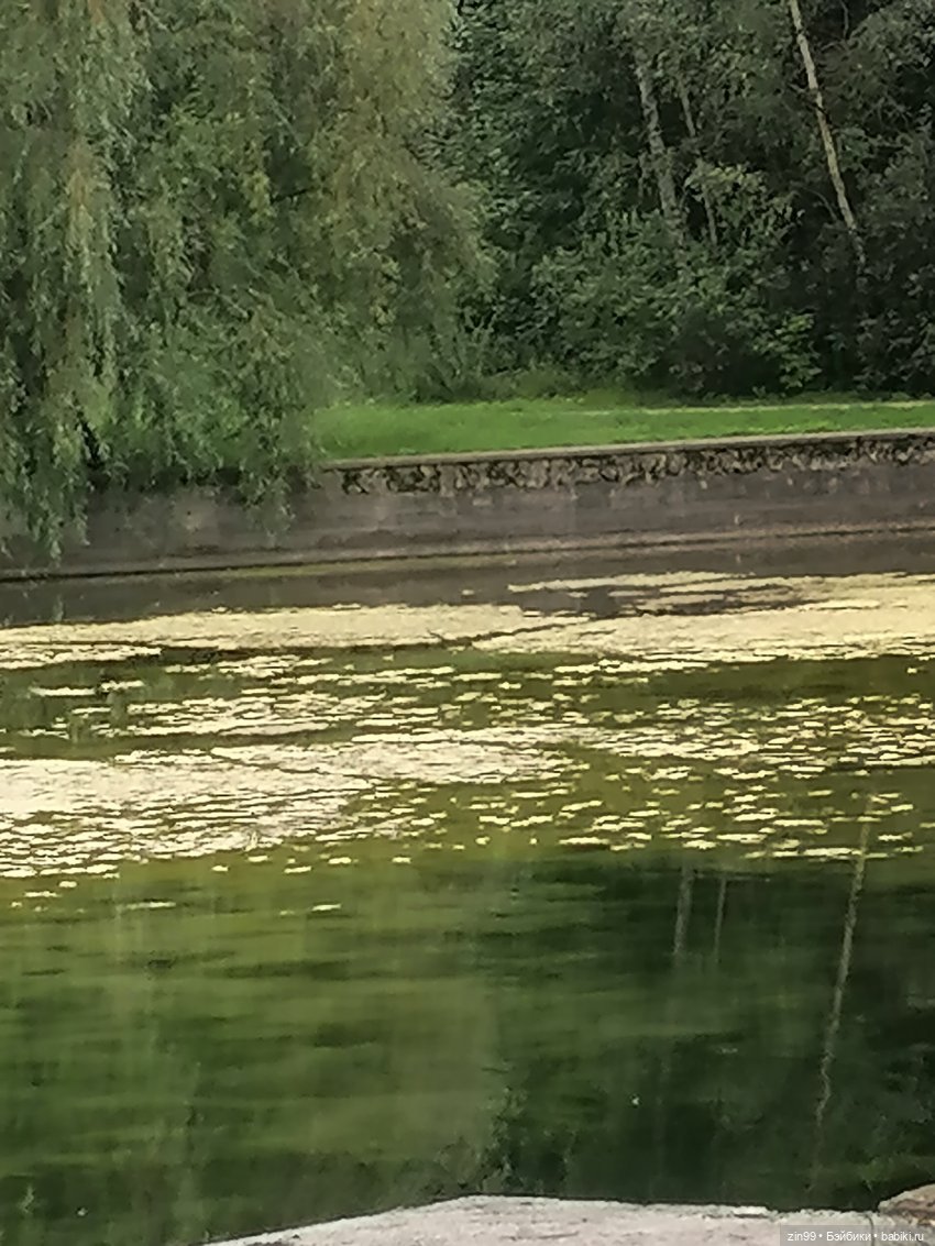 Прогулка по парку — Игровые куклы разных производителей (Разное): редкие бренды