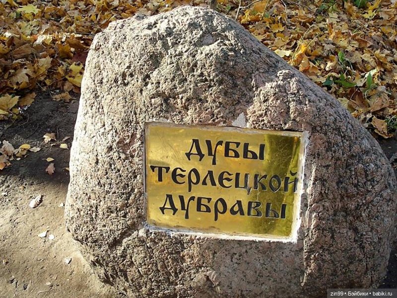 Прогулка по парку — Игровые куклы разных производителей (Разное): редкие бренды (фото 3)