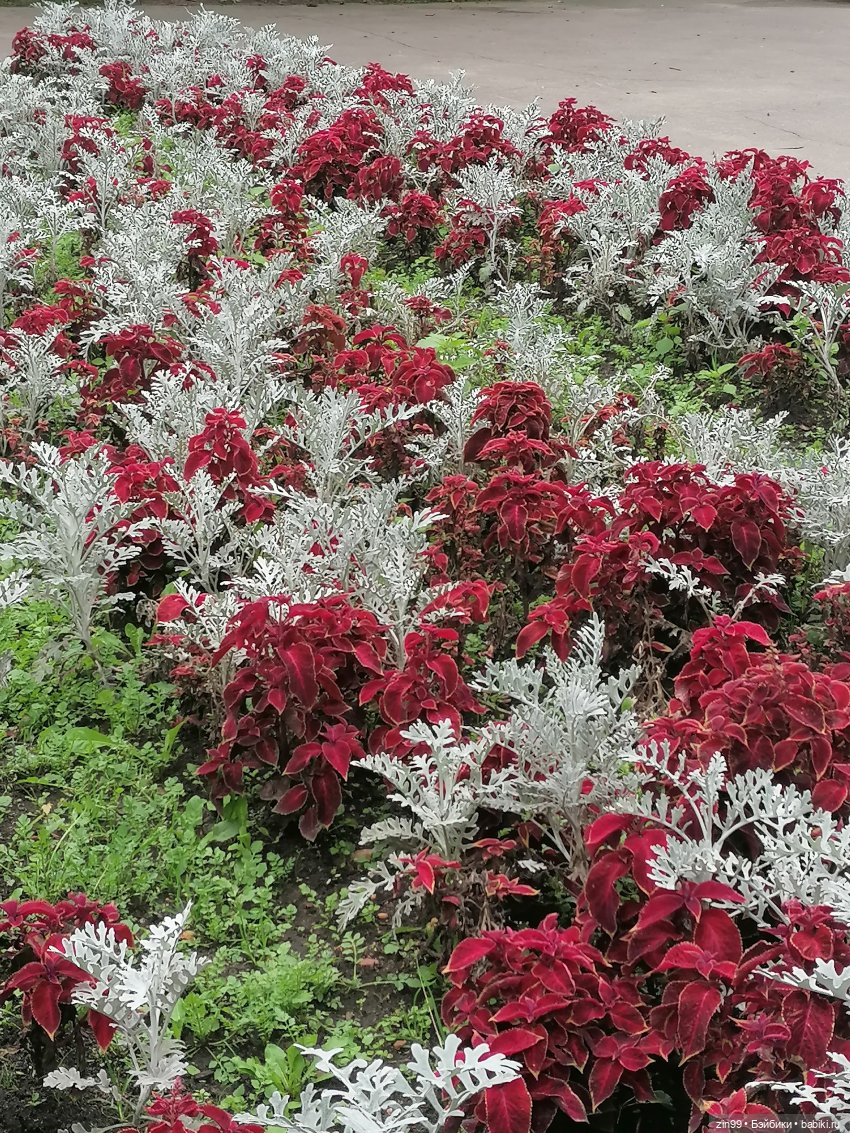 Прогулка по парку — Игровые куклы разных производителей (Разное): редкие бренды