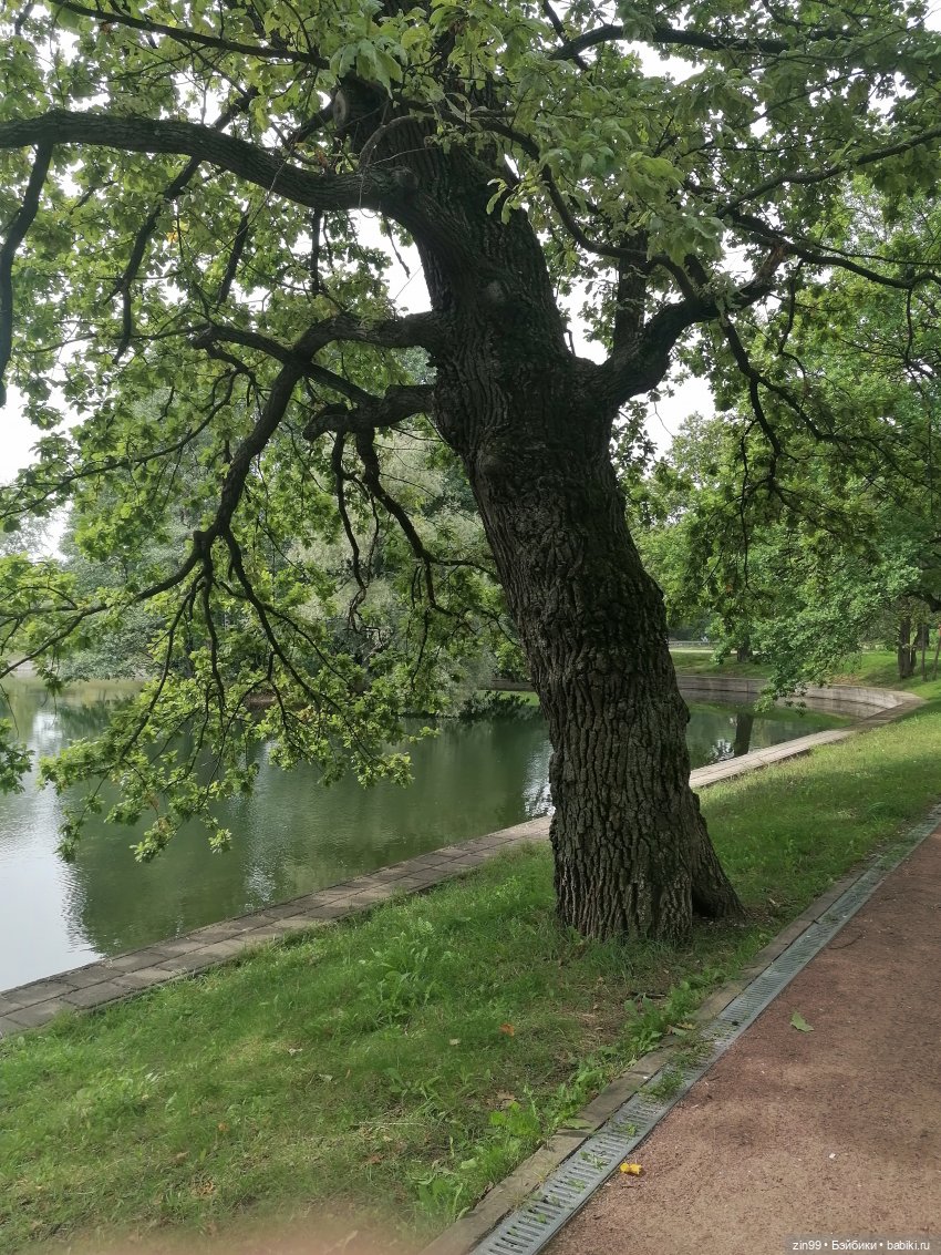 Прогулка по парку — Игровые куклы разных производителей (Разное): редкие бренды