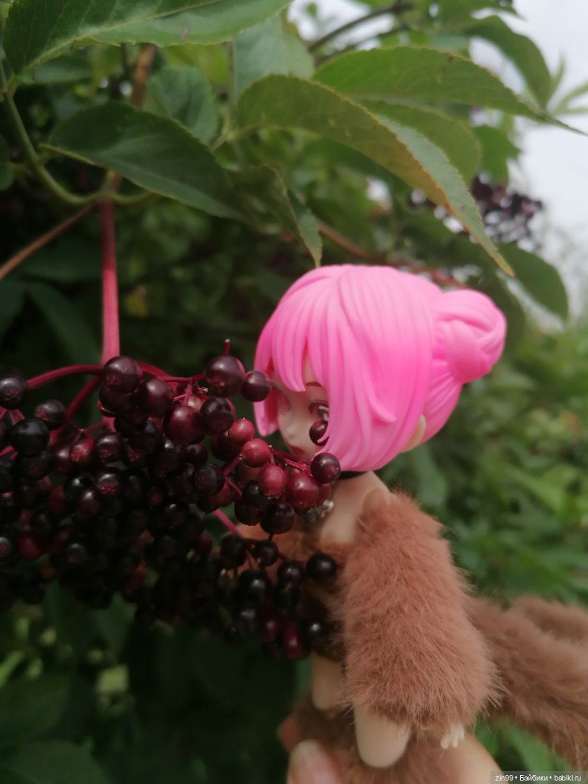 Прогулка по парку — Игровые куклы разных производителей (Разное): редкие бренды