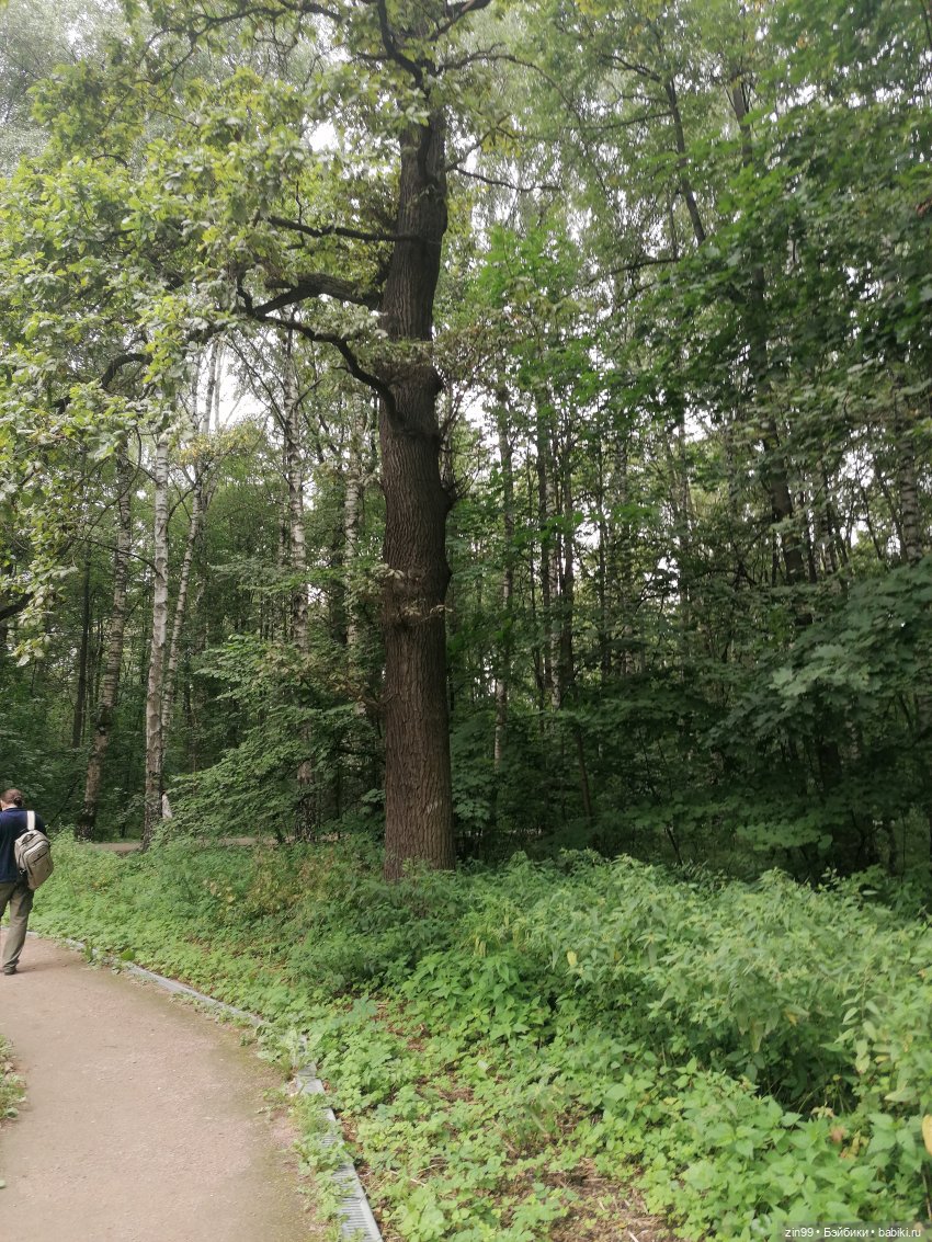 Прогулка по парку — Игровые куклы разных производителей (Разное): редкие бренды