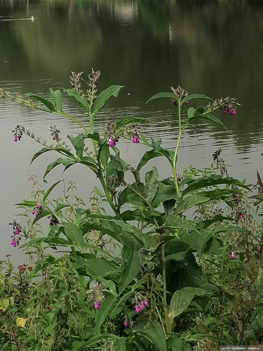 Прогулка по парку — Игровые куклы разных производителей (Разное): редкие бренды (фото 9)