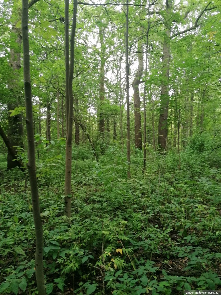 Прогулка по парку — Игровые куклы разных производителей (Разное): редкие бренды