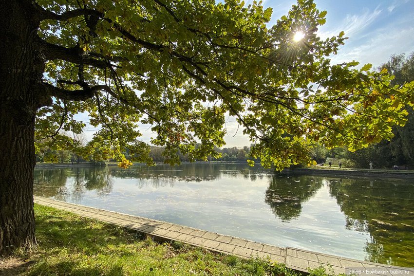 Прогулка по парку — Игровые куклы разных производителей (Разное): редкие бренды (фото 2)