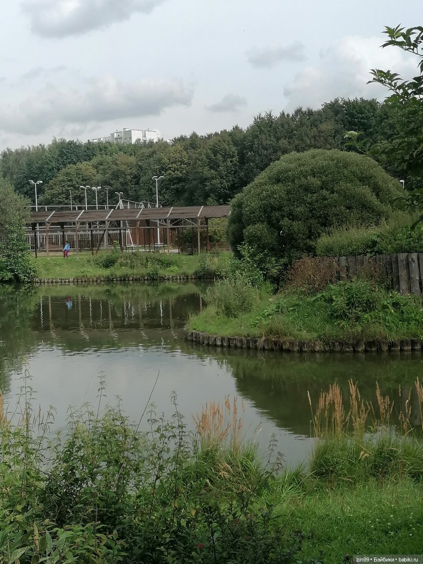 Прогулка по парку — Игровые куклы разных производителей (Разное): редкие бренды