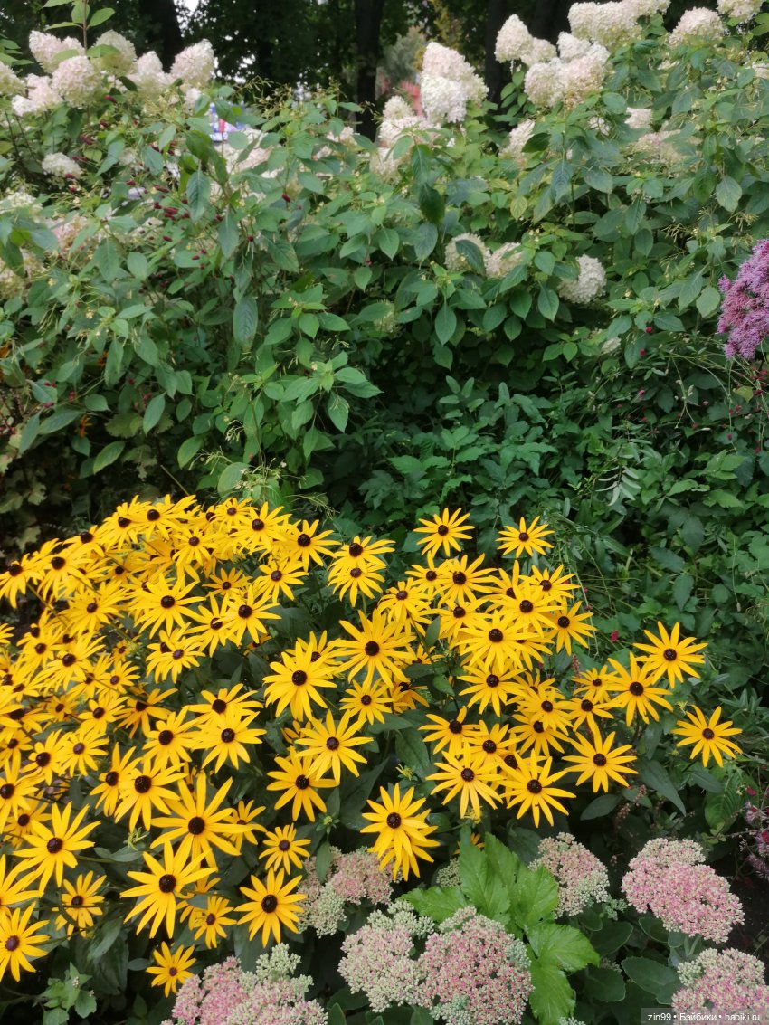 Прогулка по ВДНХ — Куклы Cabbage Patch Kids (Капустки): винтаж 80