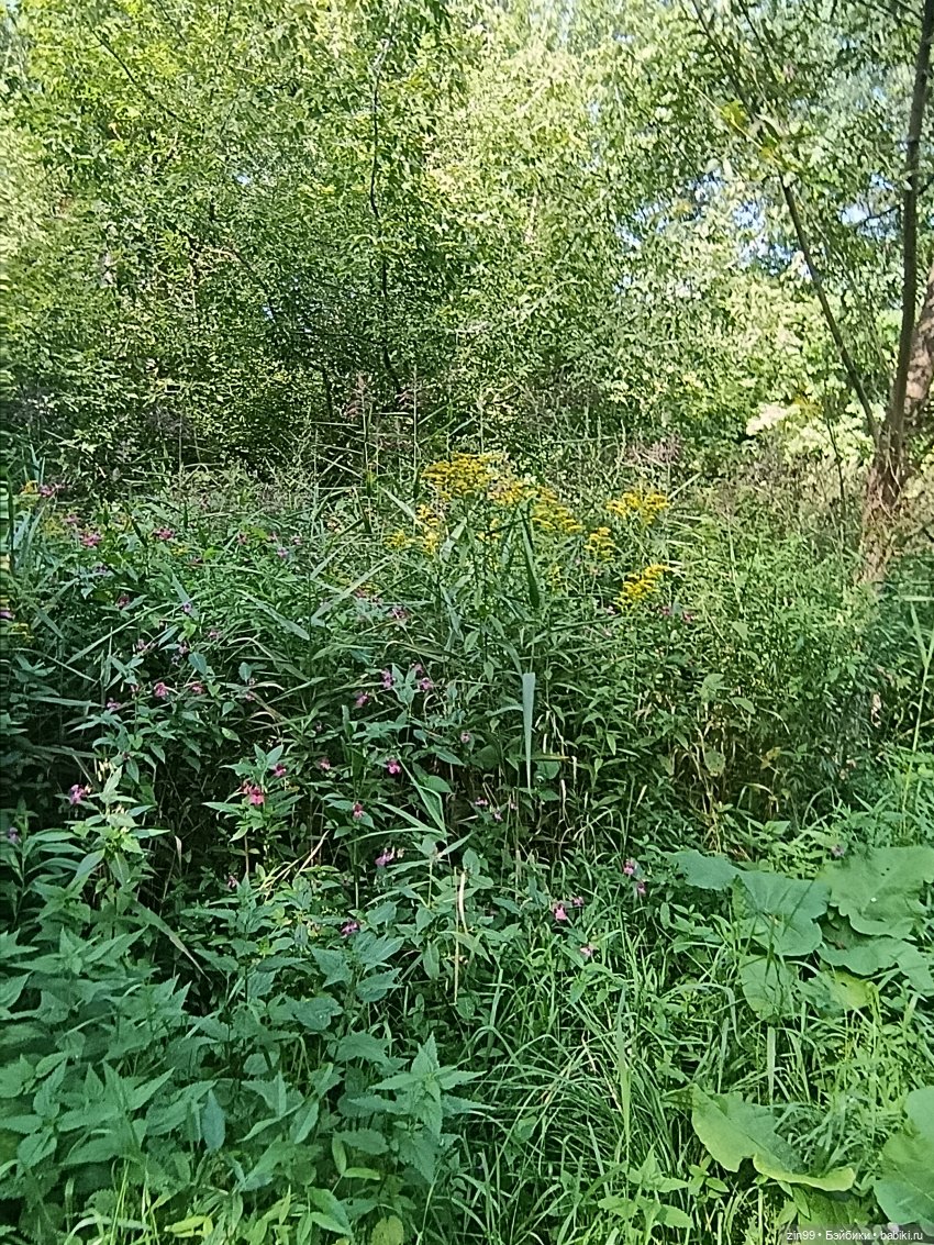 Обмен шапками в последний день лета
