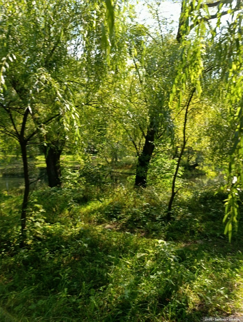 Обмен шапками в последний день лета