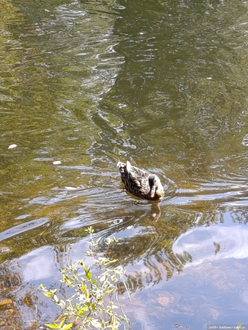 Обмен шапками в последний день лета
