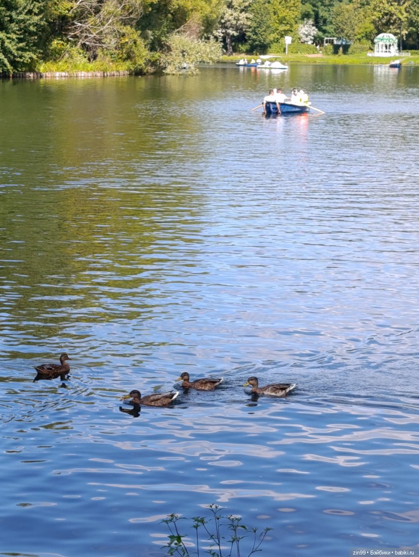 Измайловский парк и куклы | Бэйбики Измайловский парк и куклы