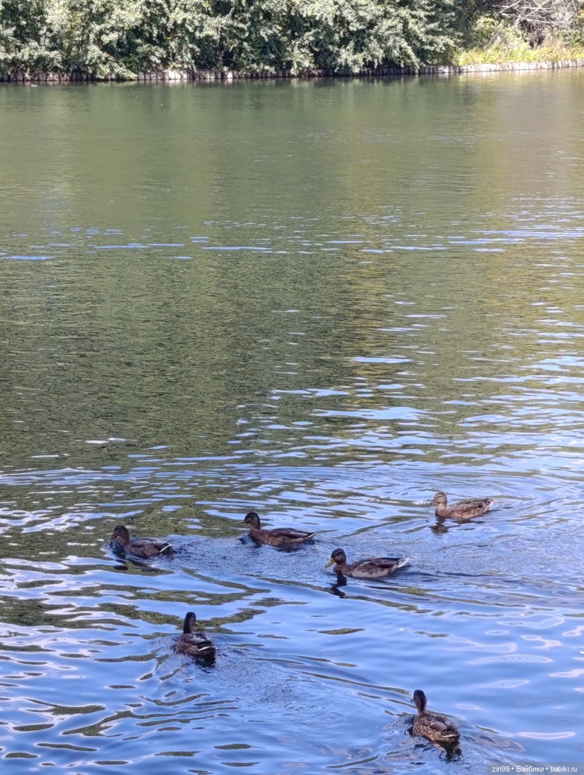 Измайловский парк и куклы | Бэйбики Измайловский парк и куклы