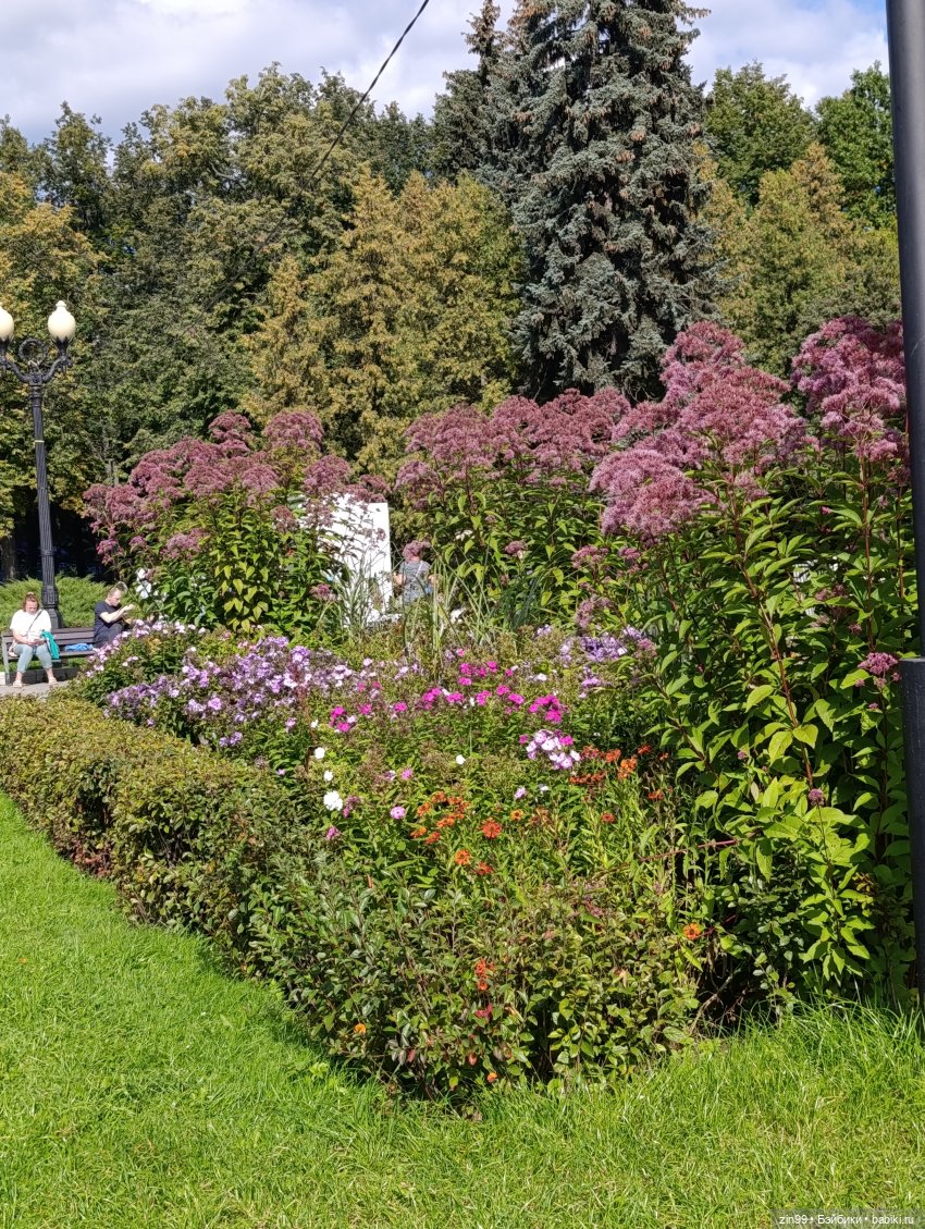 Измайловский парк и куклы | Бэйбики Измайловский парк и куклы