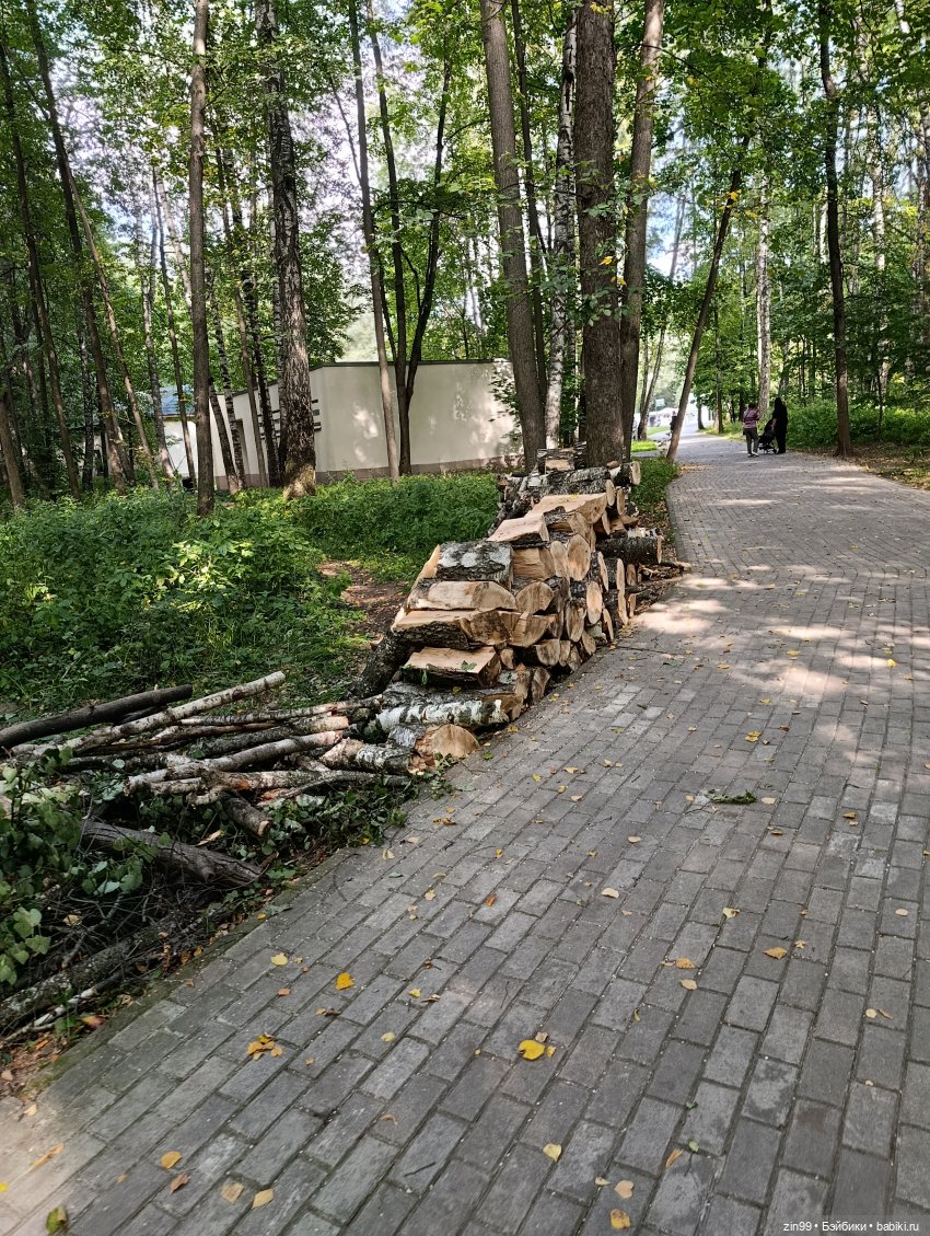 Измайловский парк и куклы | Бэйбики Измайловский парк и куклы