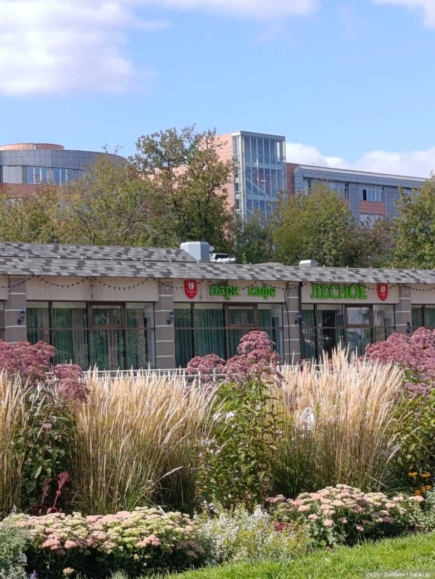 Измайловский парк и куклы | Бэйбики Измайловский парк и куклы