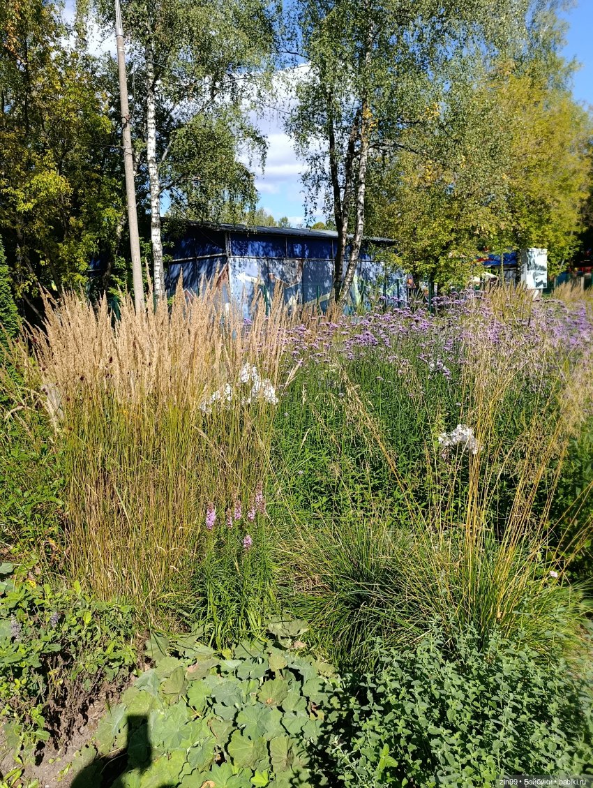 Измайловский парк и куклы | Бэйбики Измайловский парк и куклы