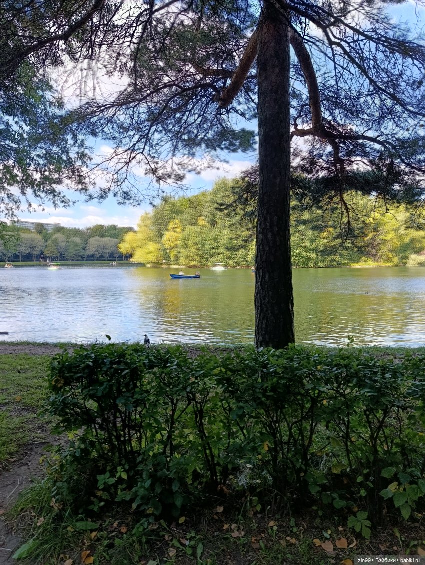 Измайловский парк и куклы | Бэйбики Измайловский парк и куклы