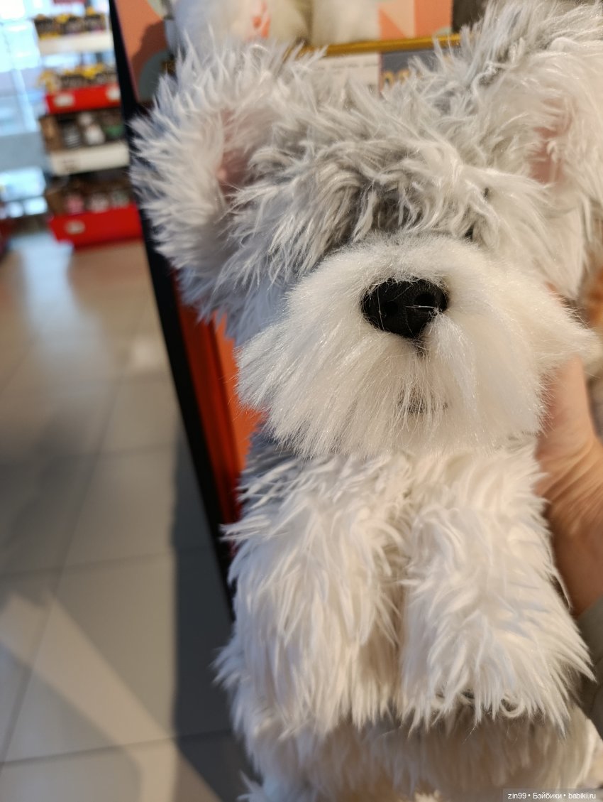 В детском магазине — Игровые куклы разных производителей (Разное): редкие бренды (фото 5)