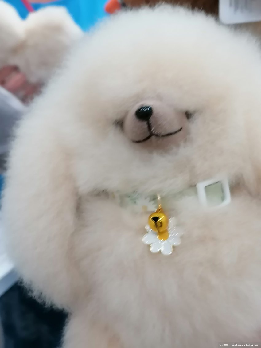 30-я международная выставка «Индустрия детских товаров». 17–19 сентября 2025