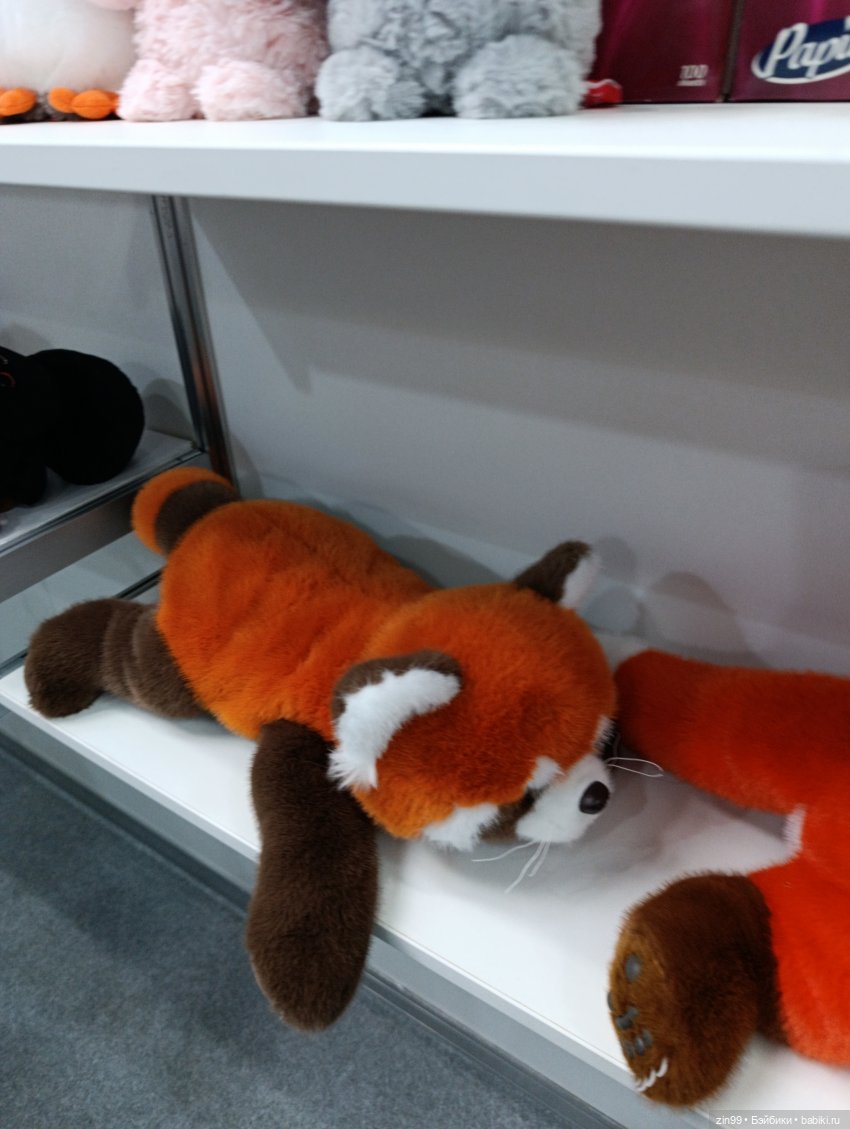 Мир Детства, выставка с 17–19 сентября 2025, часть 2