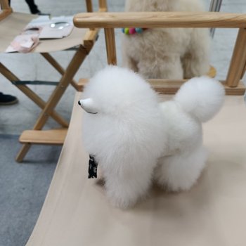 По следам выставки Мир детства