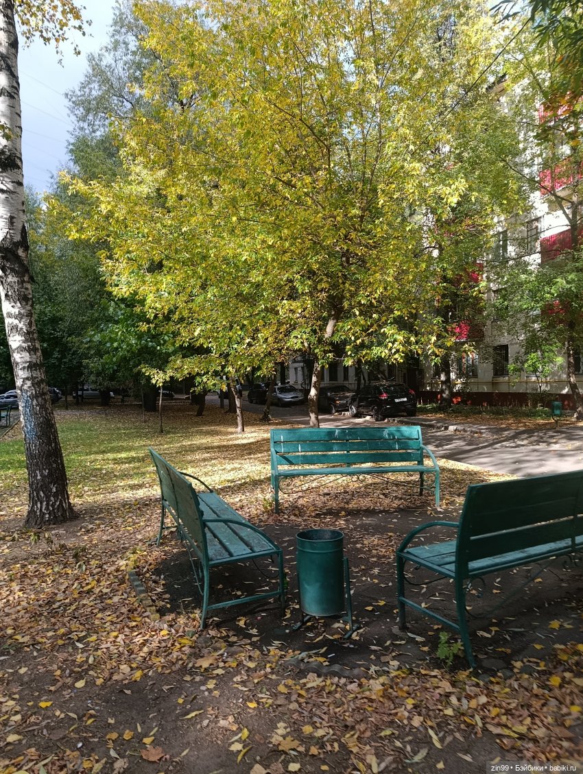 Московская осень и девочка (фото 3)