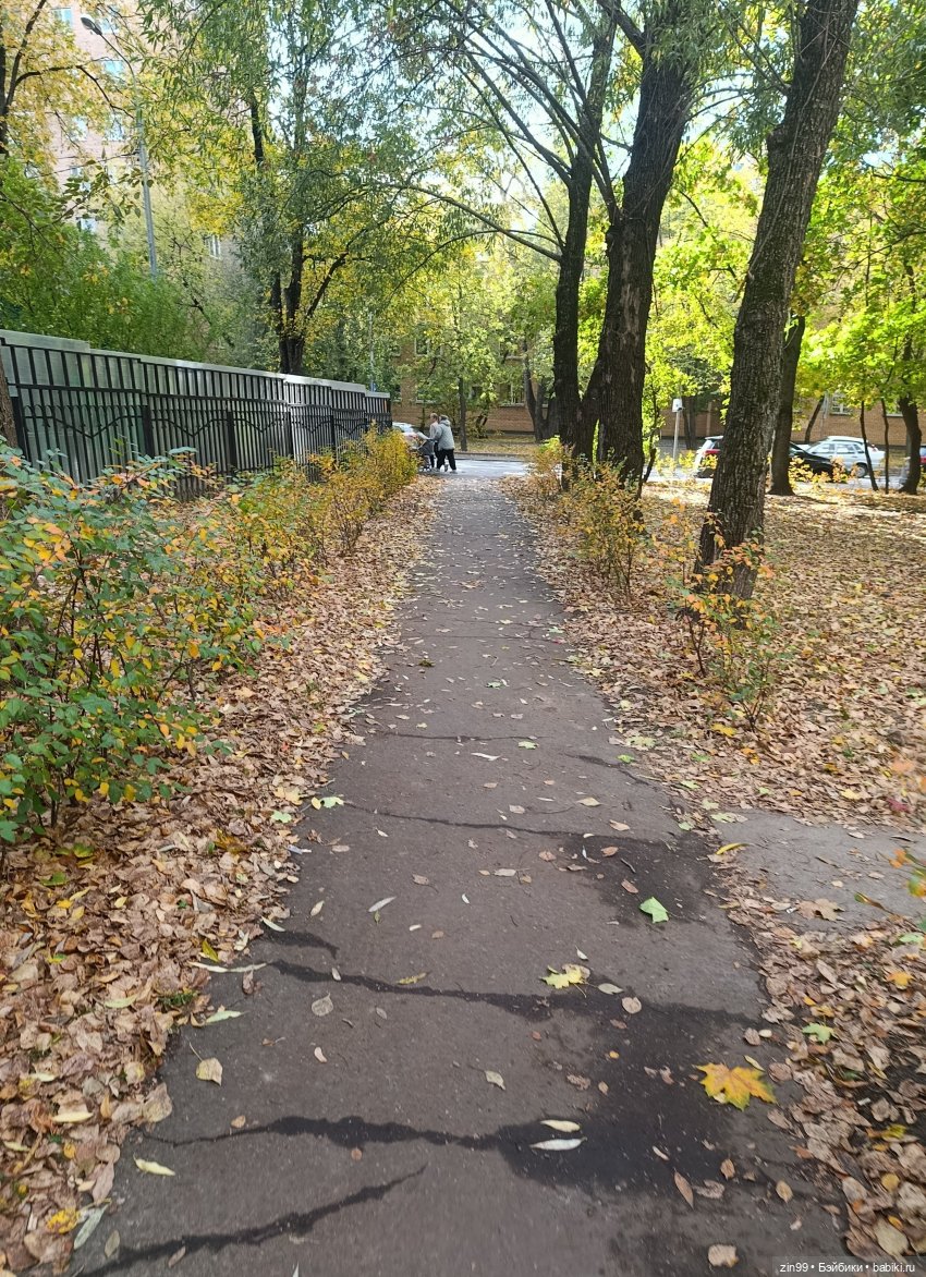 Московская осень и девочка (фото 4)