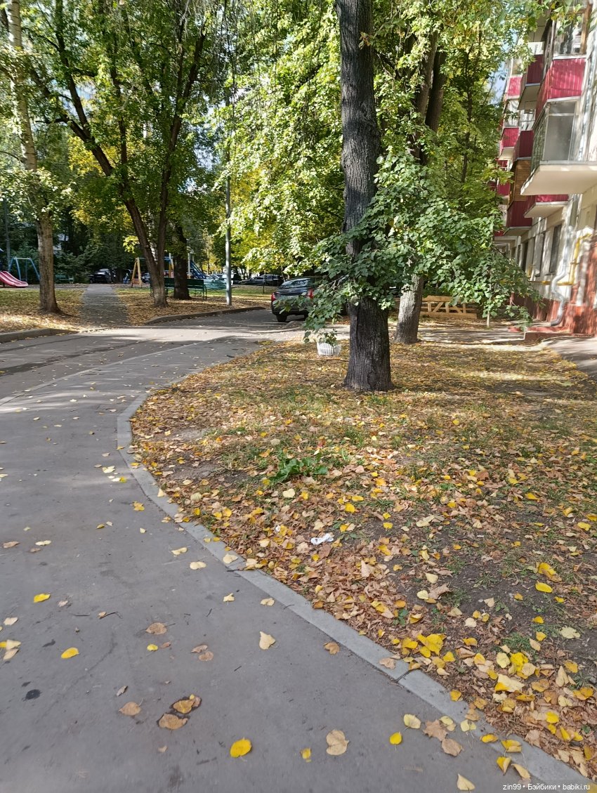 Московская осень и девочка