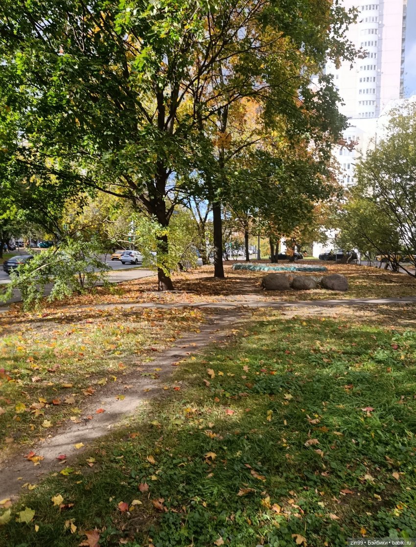 Московская осень и девочка (фото 5)