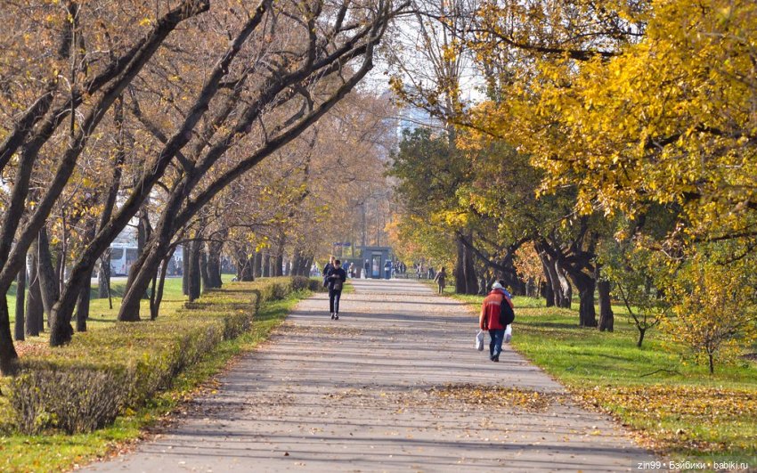 Московская осень и девочка