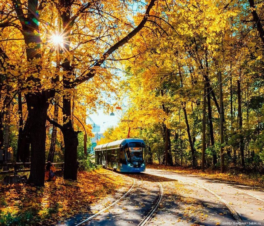 Московская осень и девочка