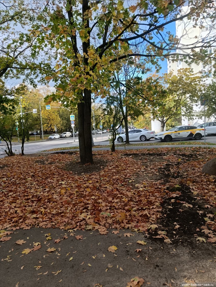 Московская осень и девочка