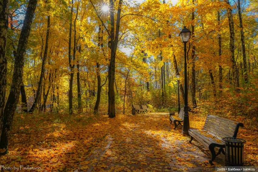 Московская осень и девочка