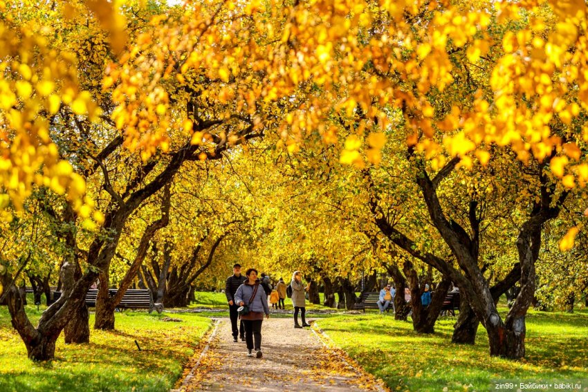 Московская осень и девочка