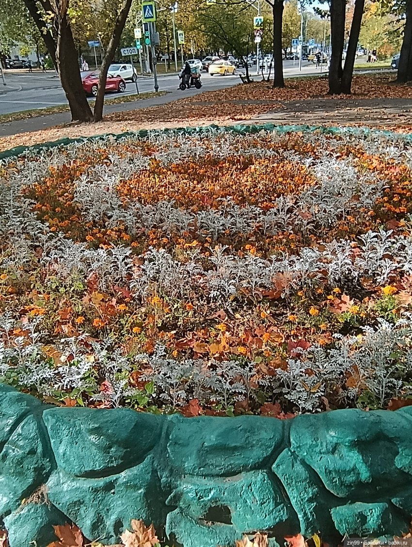 Московская осень и девочка (фото 10)