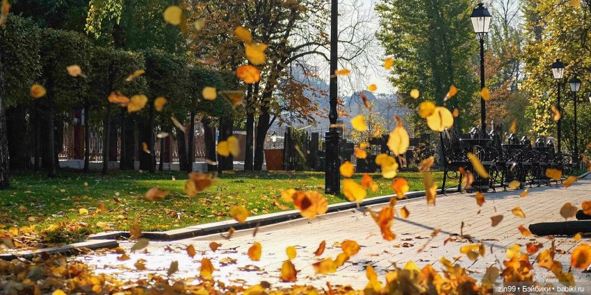 Московская осень и девочка