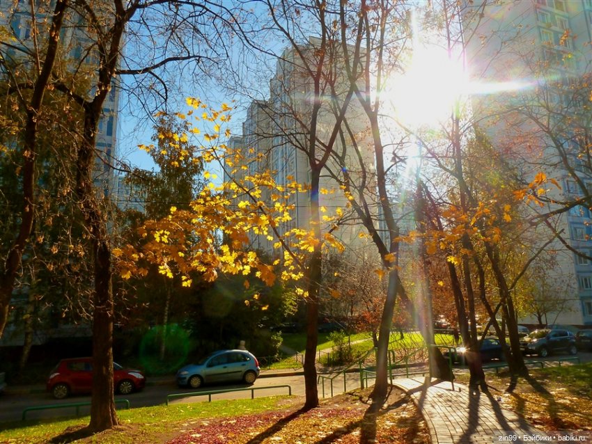 Московская осень и девочка