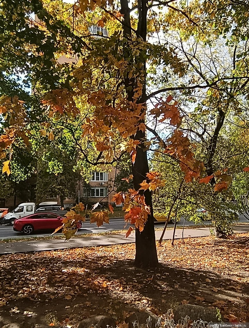 Московская осень и девочка (фото 9)