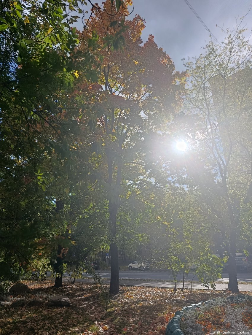 Московская осень и девочка