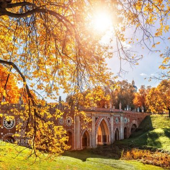 Московская осень и девочка