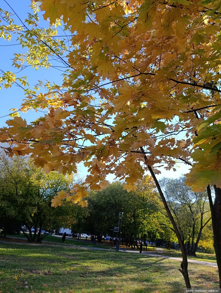 Баболи и осень на районе — Куклы Baboliy (Баболи