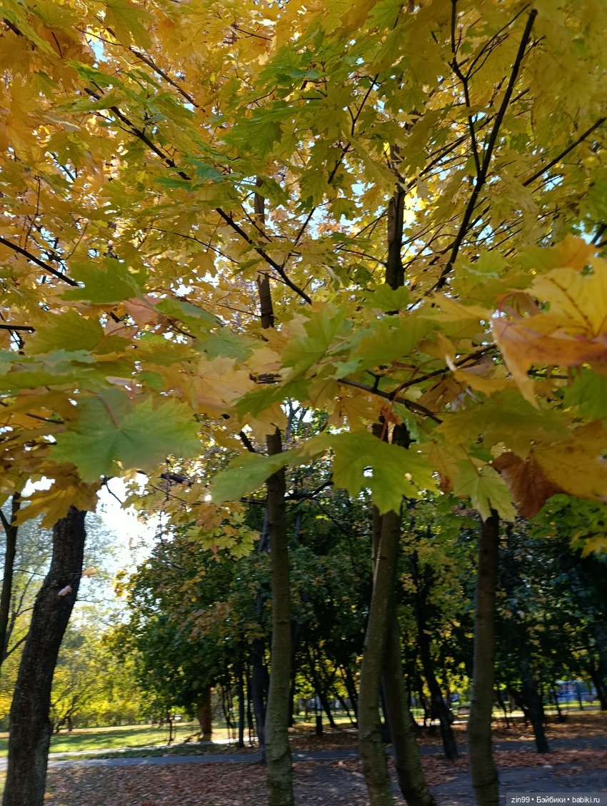 Баболи и осень на районе — Куклы Baboliy (Баболи