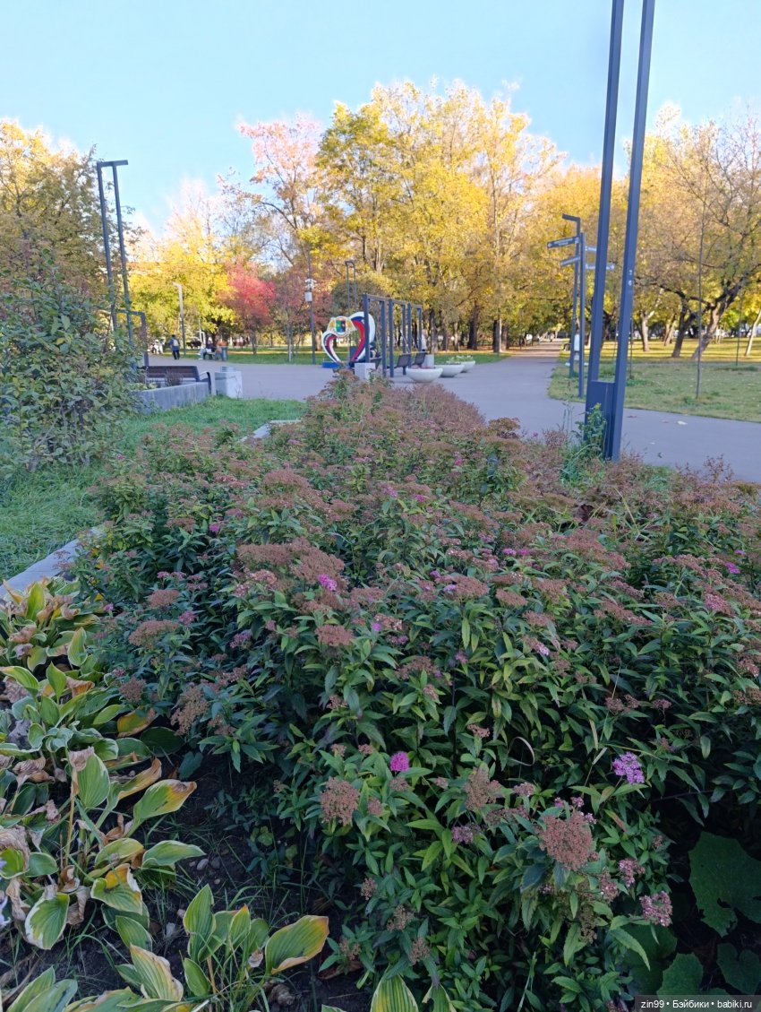 Баболи и осень на районе — Куклы Baboliy (Баболи