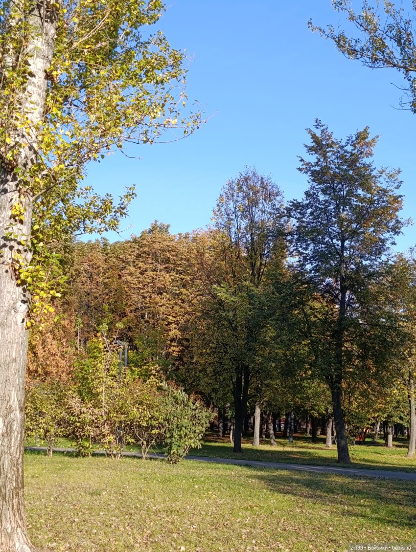 Баболи и осень на районе — Куклы Baboliy (Баболи
