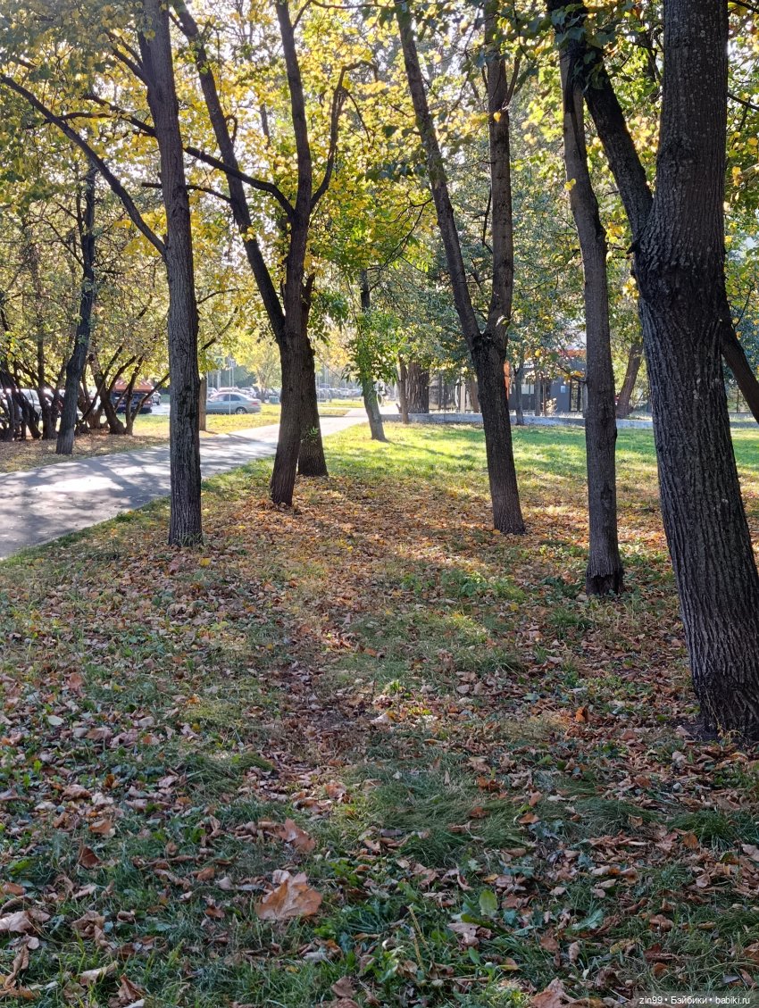 Баболи и осень на районе — Куклы Baboliy (Баболи