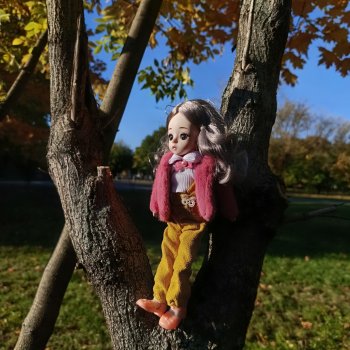 Баболи и осень на районе