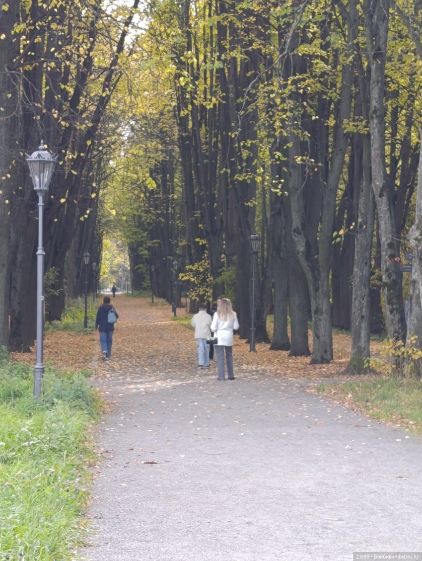 Куклы Kidz'n'Cats и прогулка