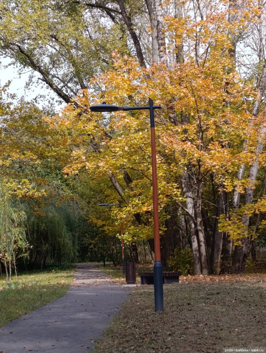 Куклы Kidz'n'Cats и прогулка