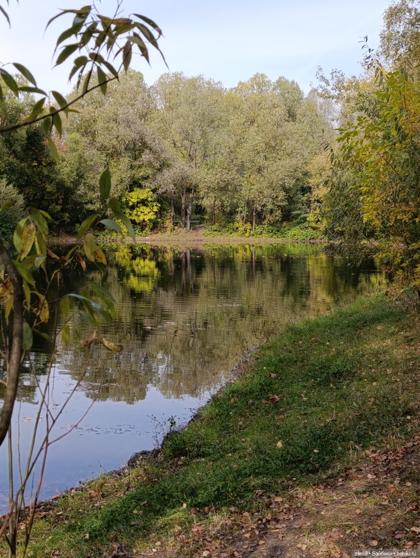 Куклы Kidz'n'Cats и прогулка